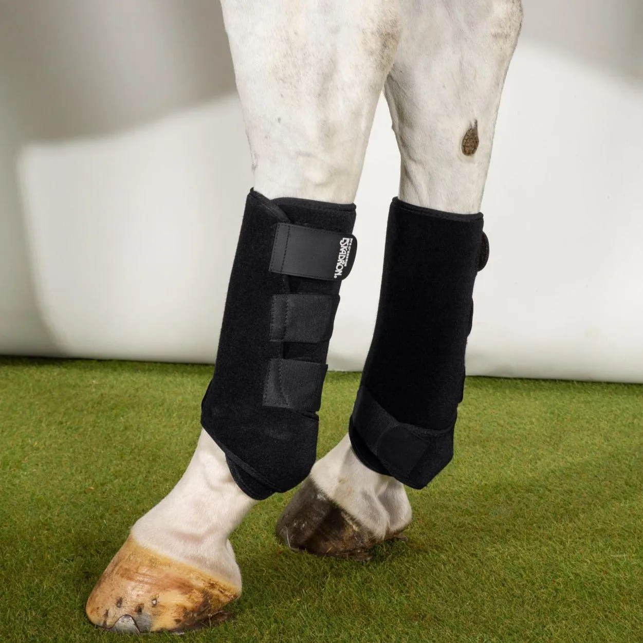 Eskadron Pro Dressage H Tendon Boots