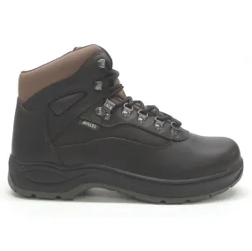 Picardie Leather Men's Ankle Hiking Boots